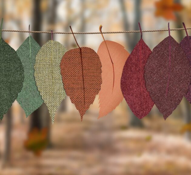 WhatsApp Image 2022-04-18 at 12.35.27 PM WhatsApp Image 2022-04-18 at 12.35.27 PM